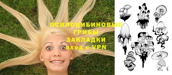 стафф Вязьма
