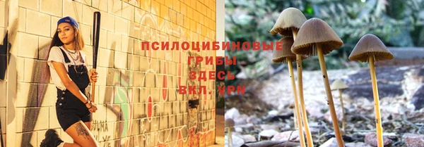 трава Вязники