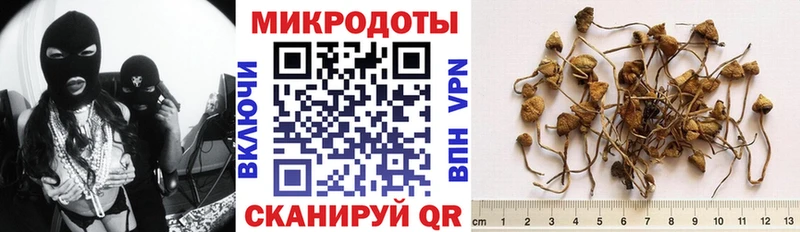 Псилоцибиновые грибы Cubensis где продают наркотики Чернушка